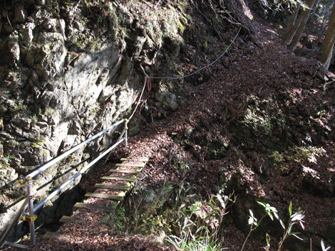 20161216hike (44)